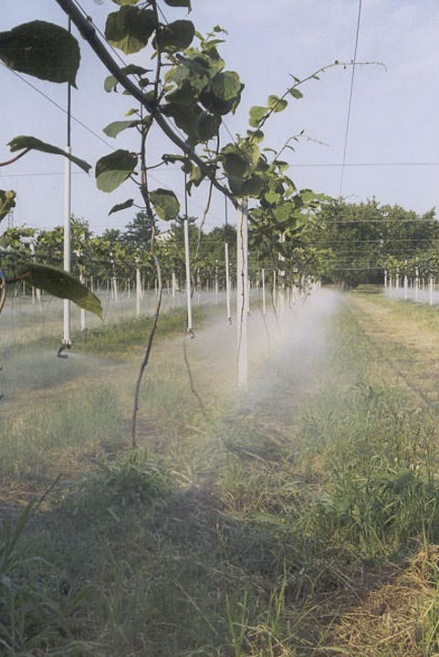 Scova s.r.l. impianti irrigazione